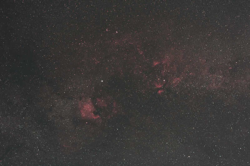 Cygnus