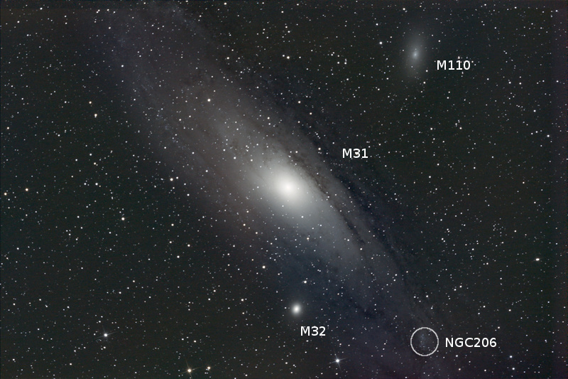M31