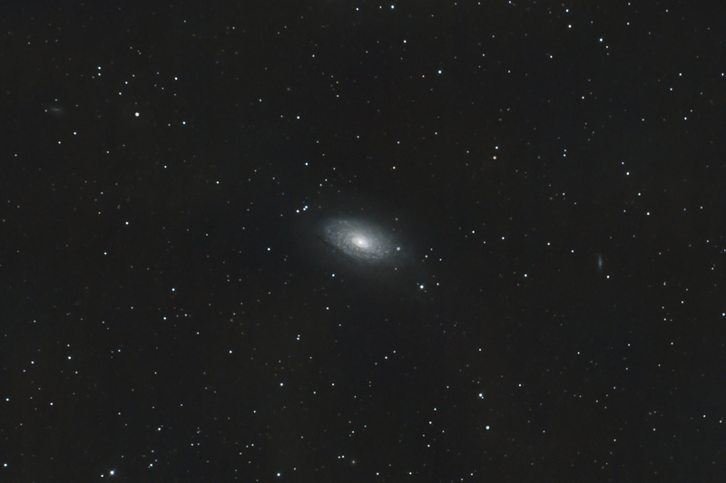 M1