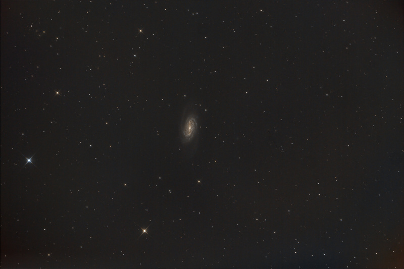 M1